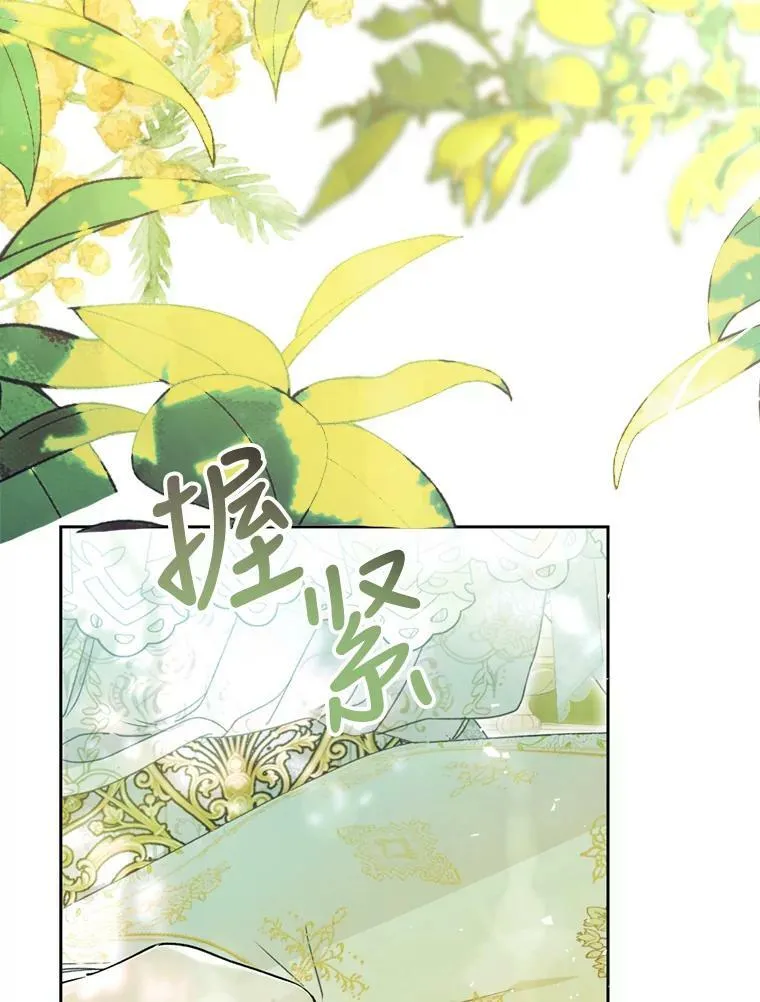 63.提议 第66页