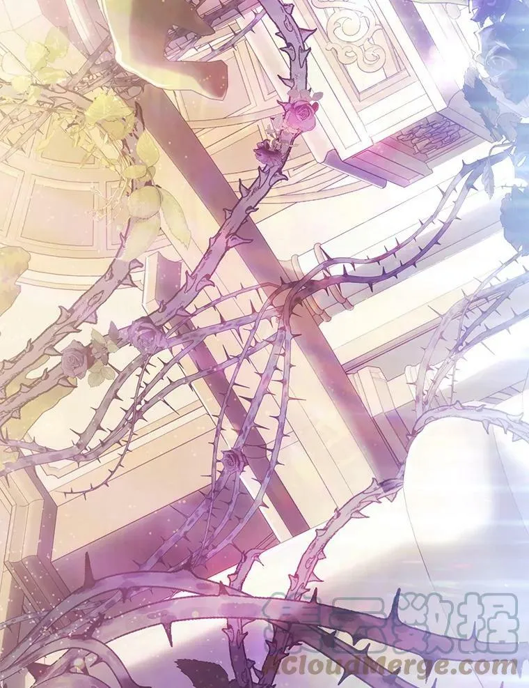 70.签订契约 第21页