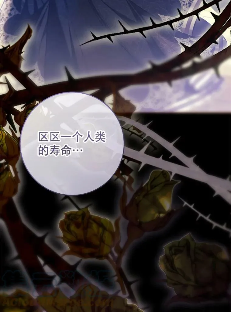 70.签订契约 第81页