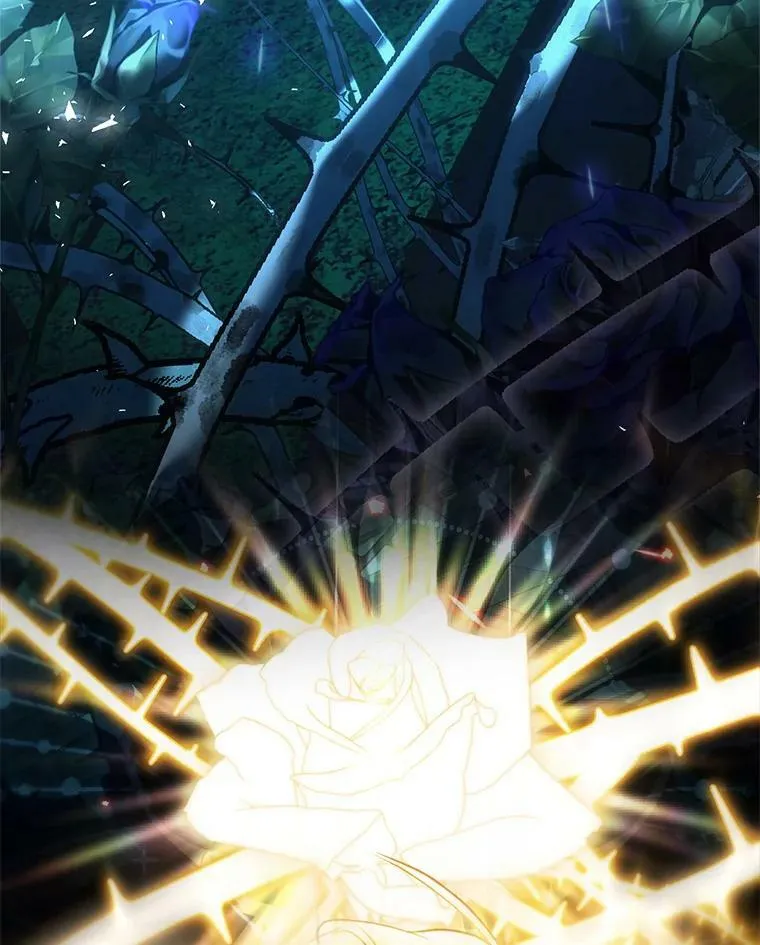 71.魔法之力 第15页