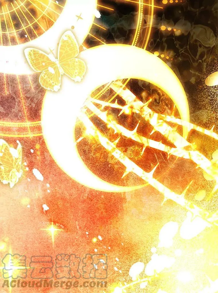 71.魔法之力 第33页
