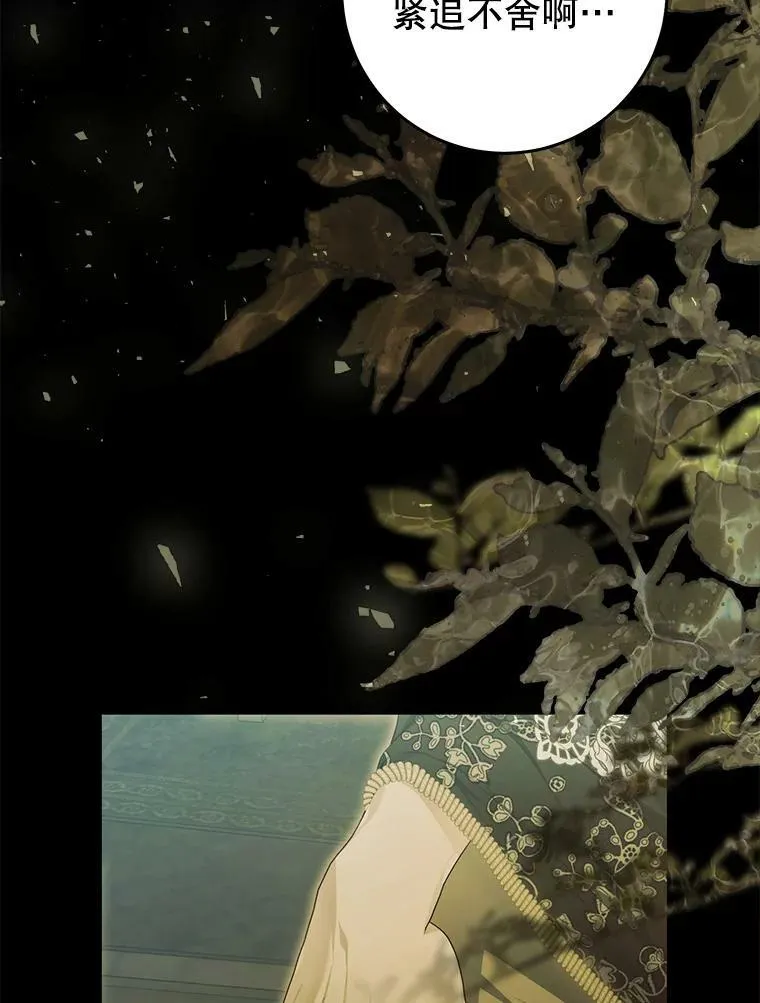 76.非法火药库 第11页