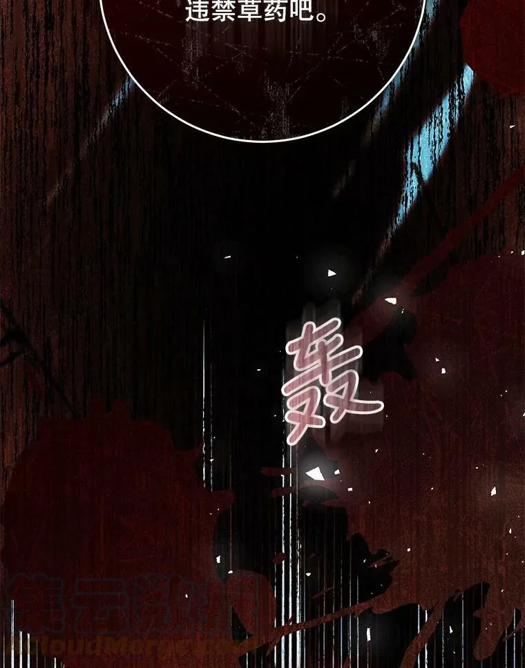 76.非法火药库 第37页