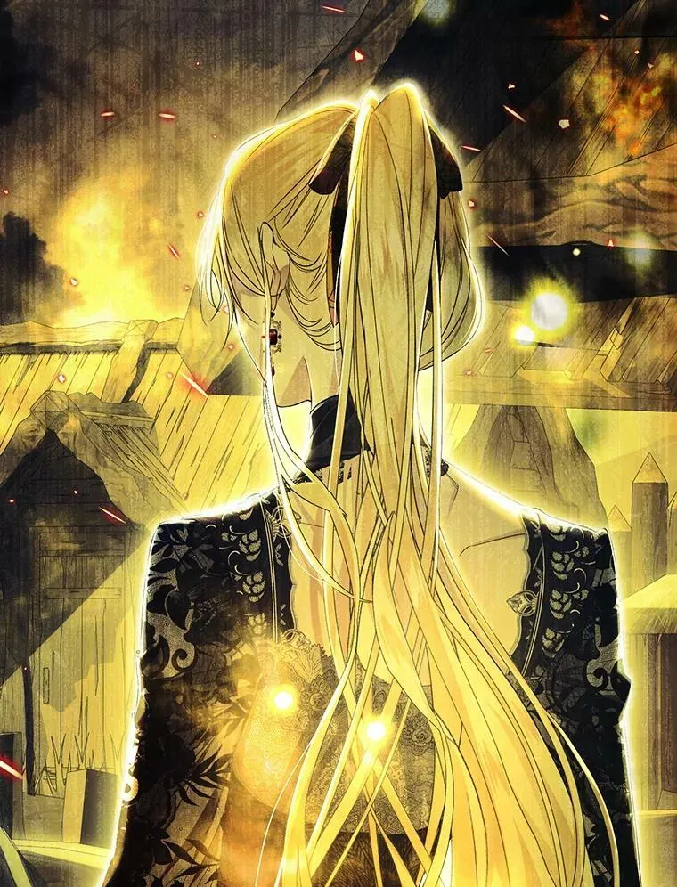 76.非法火药库 第116页
