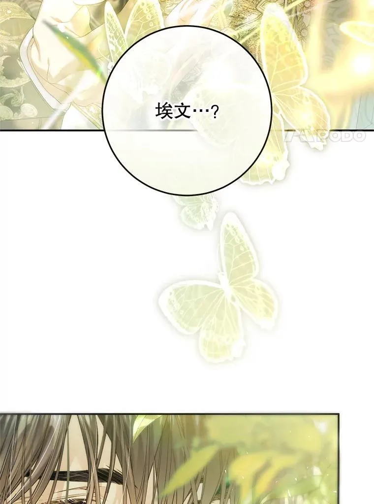 86.绝对力量 第20页