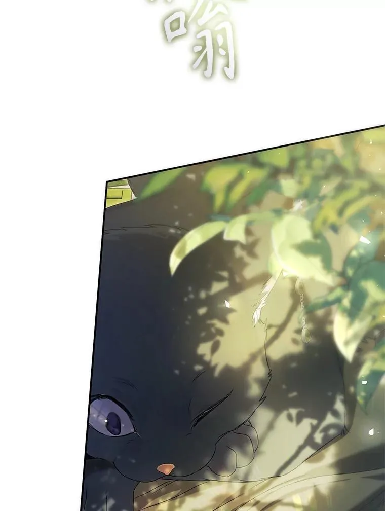 86.绝对力量 第50页