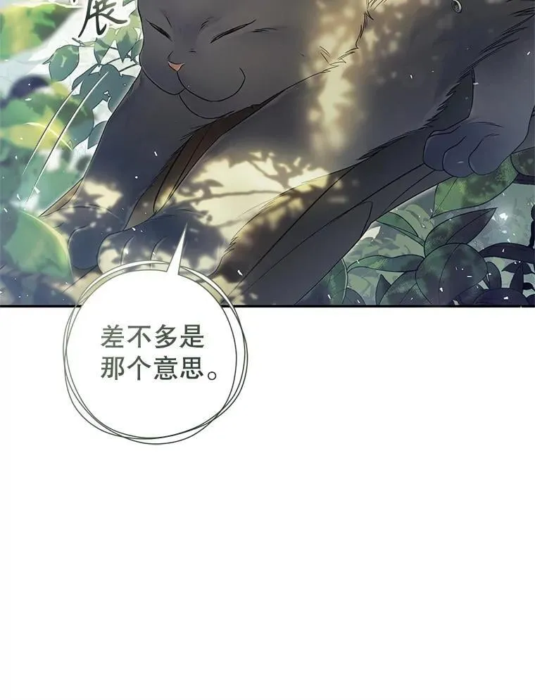 86.绝对力量 第75页