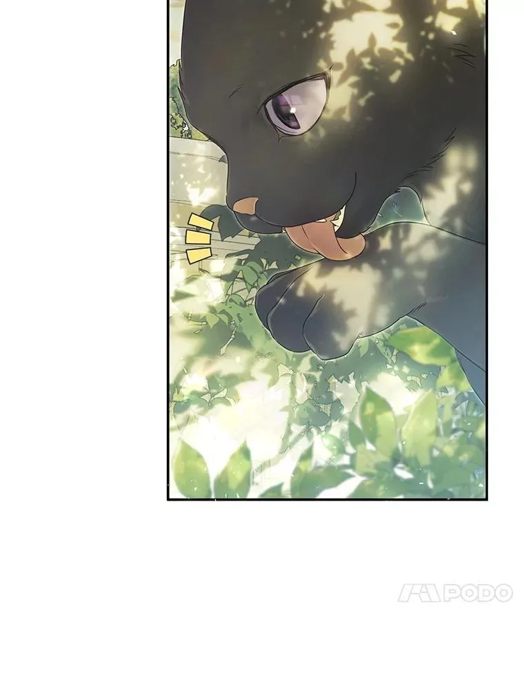 86.绝对力量 第88页
