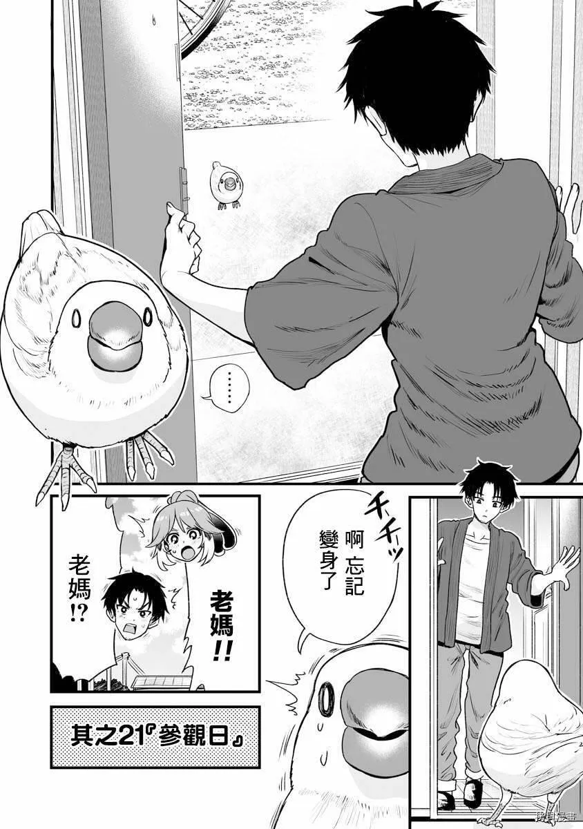 连载20 第11页