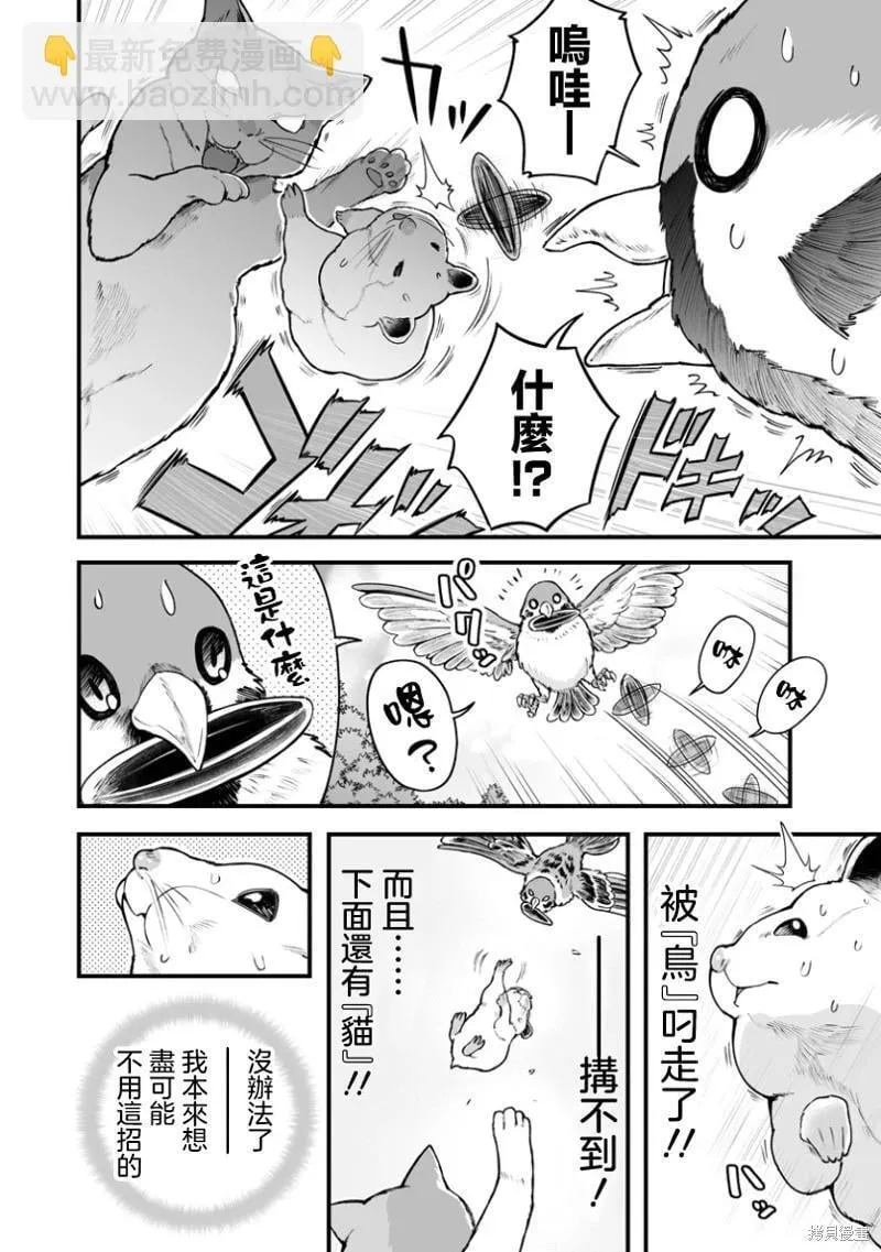 连载39 第4页