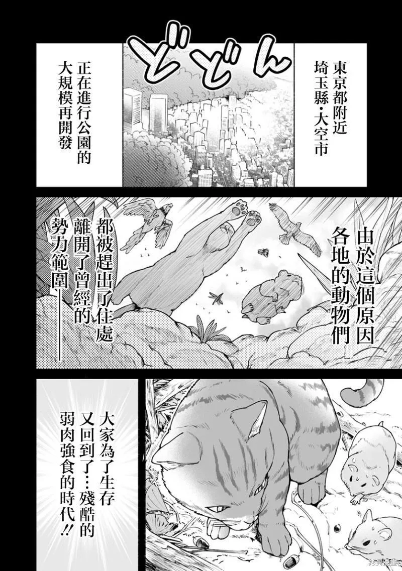 连载39 第10页
