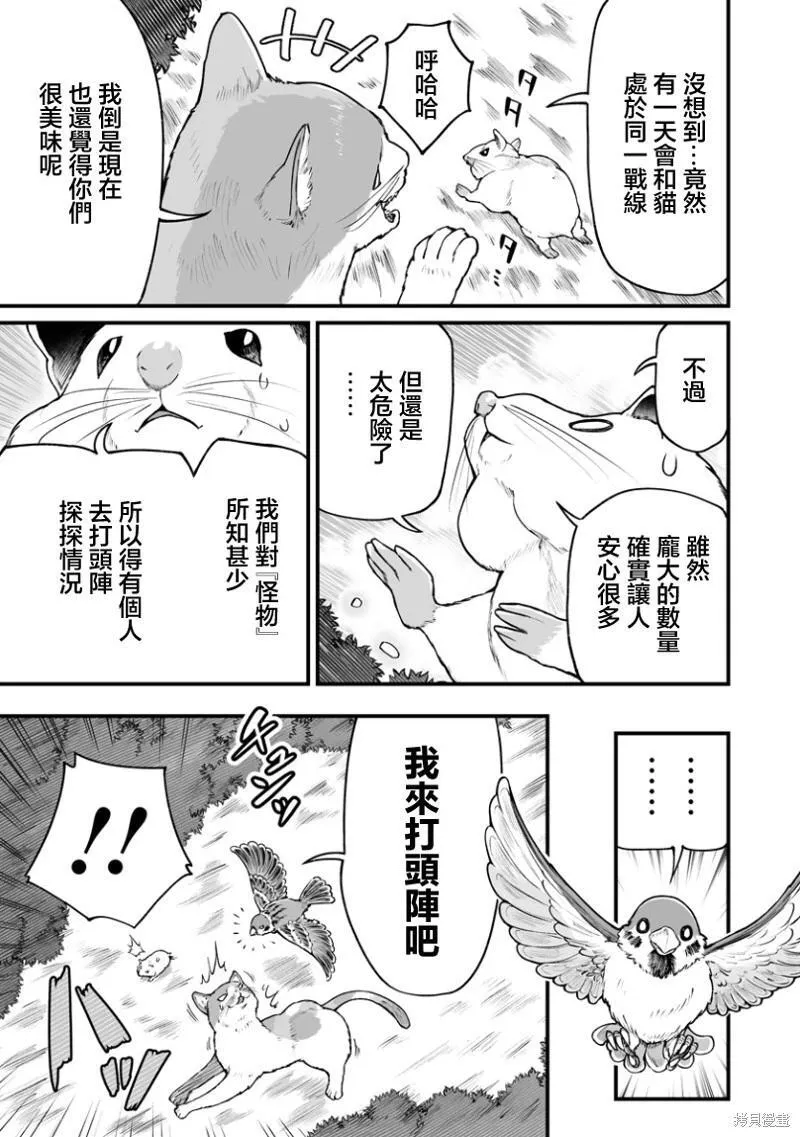 连载39 第17页