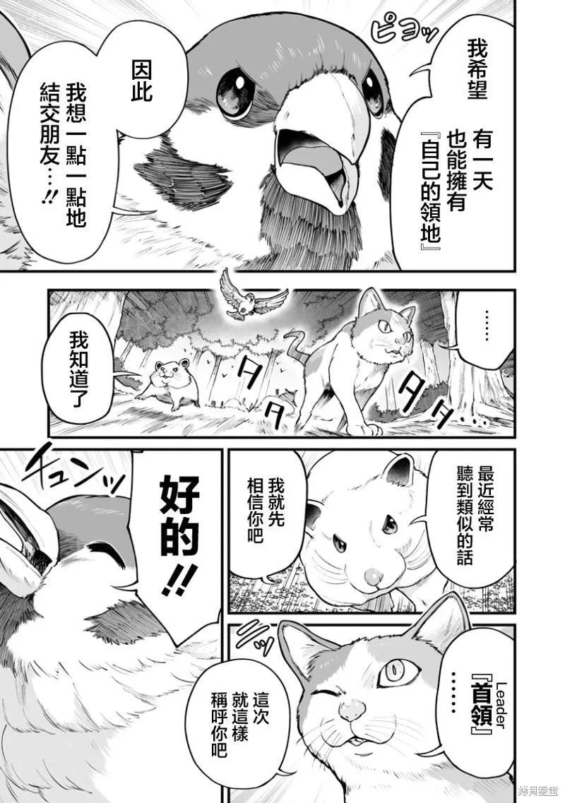 连载39 第19页