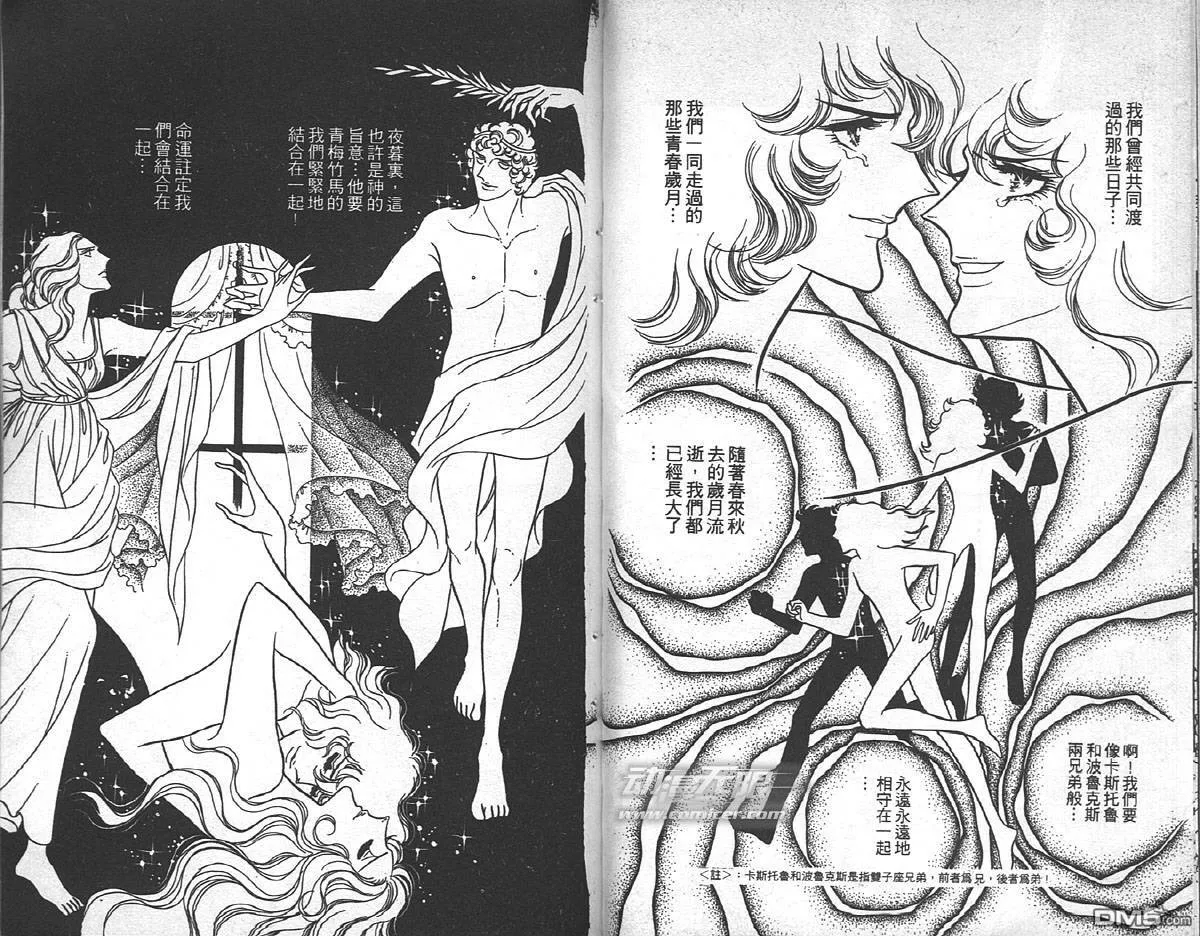 第8卷  第25页