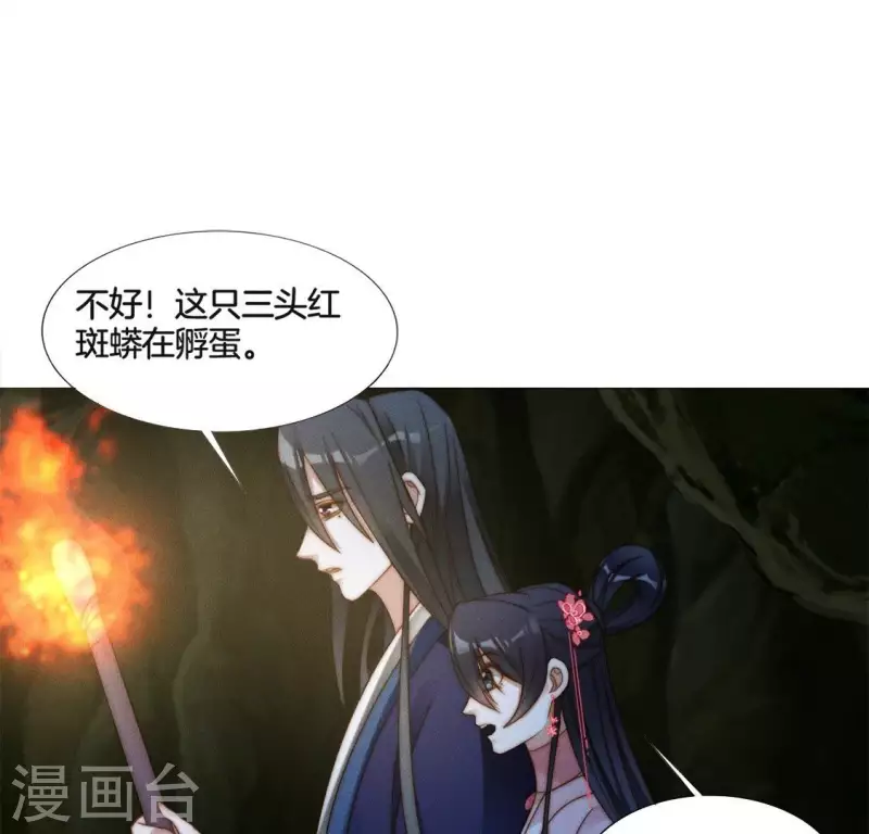 第30话 孵蛋？ 第2页