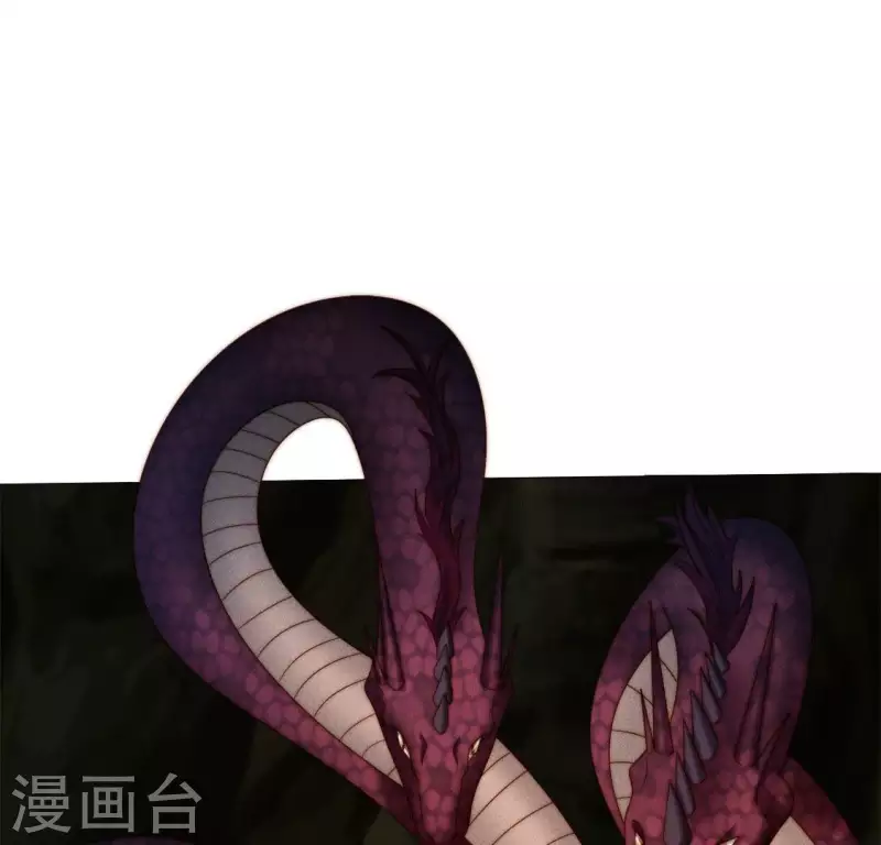 第33话 卖萌的红斑蟒 第14页
