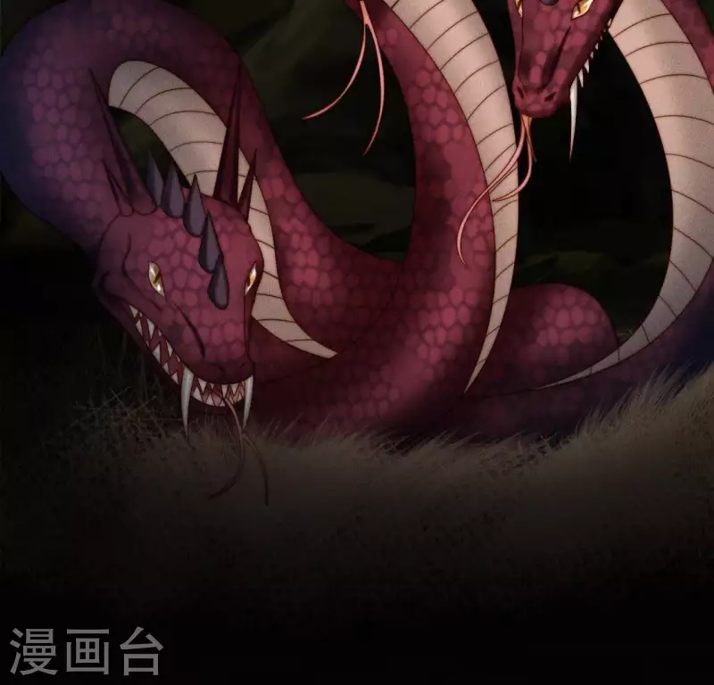 第33话 卖萌的红斑蟒 第15页