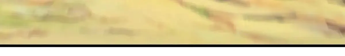 第114话 我要你陪葬 第67页