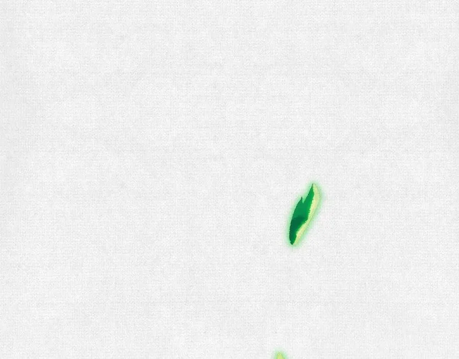 53狐仙危机 第78页