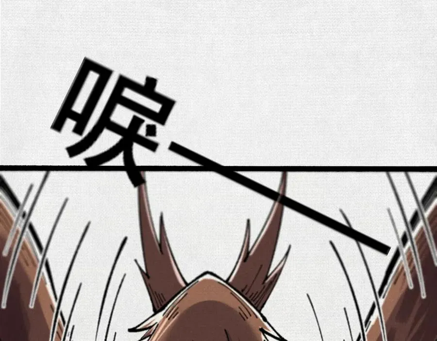 66 无尽循环 第72页