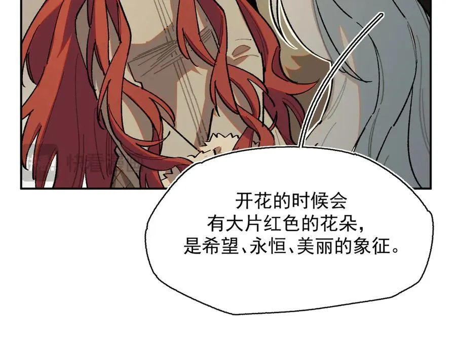 26-来自南部的和平鸽 第75页