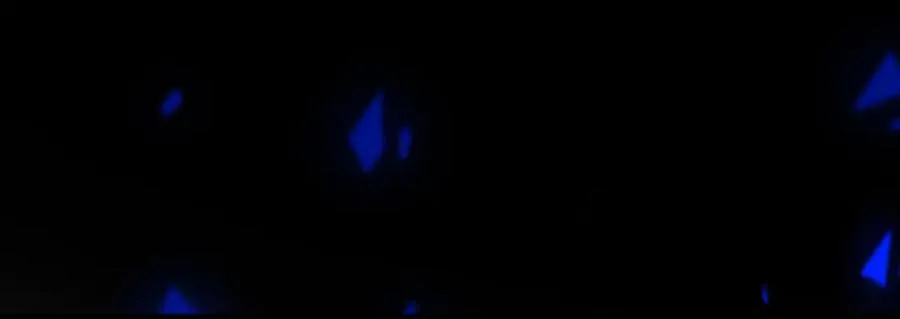你是小舒 第87页