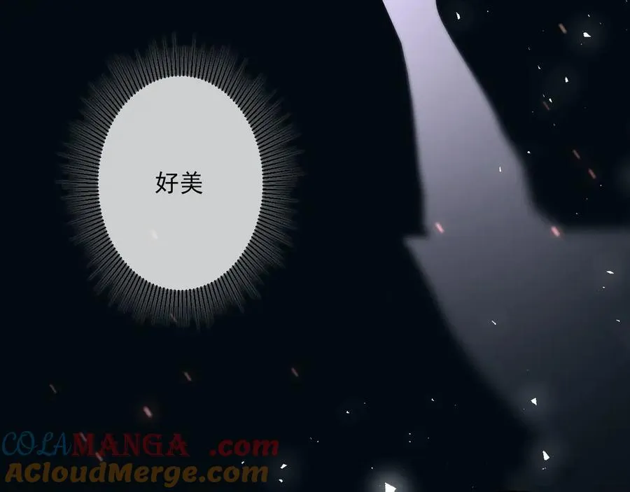24 第77页