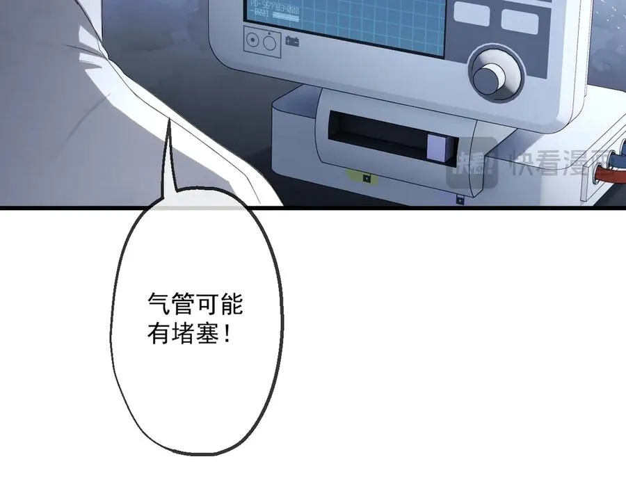 81 第31页