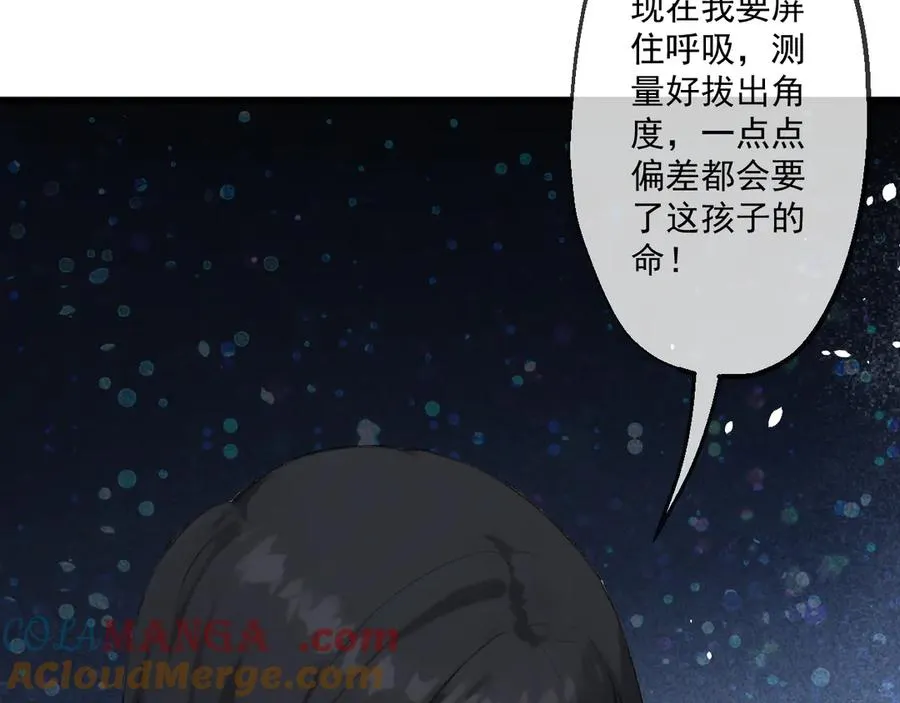 81 第53页