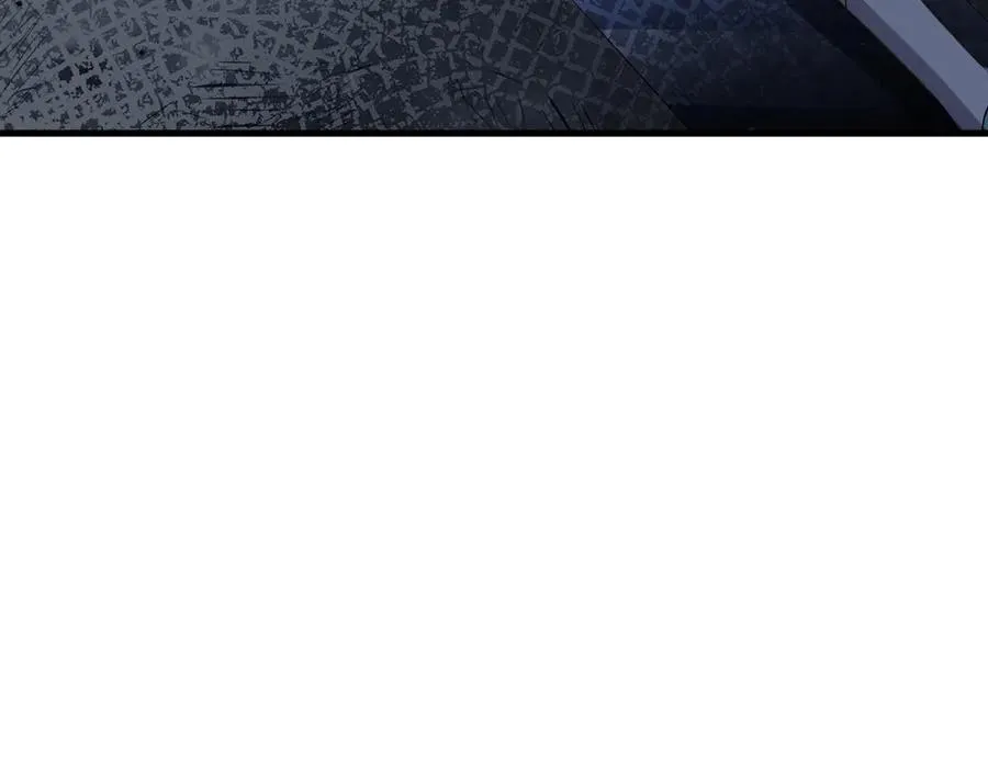 81 第66页