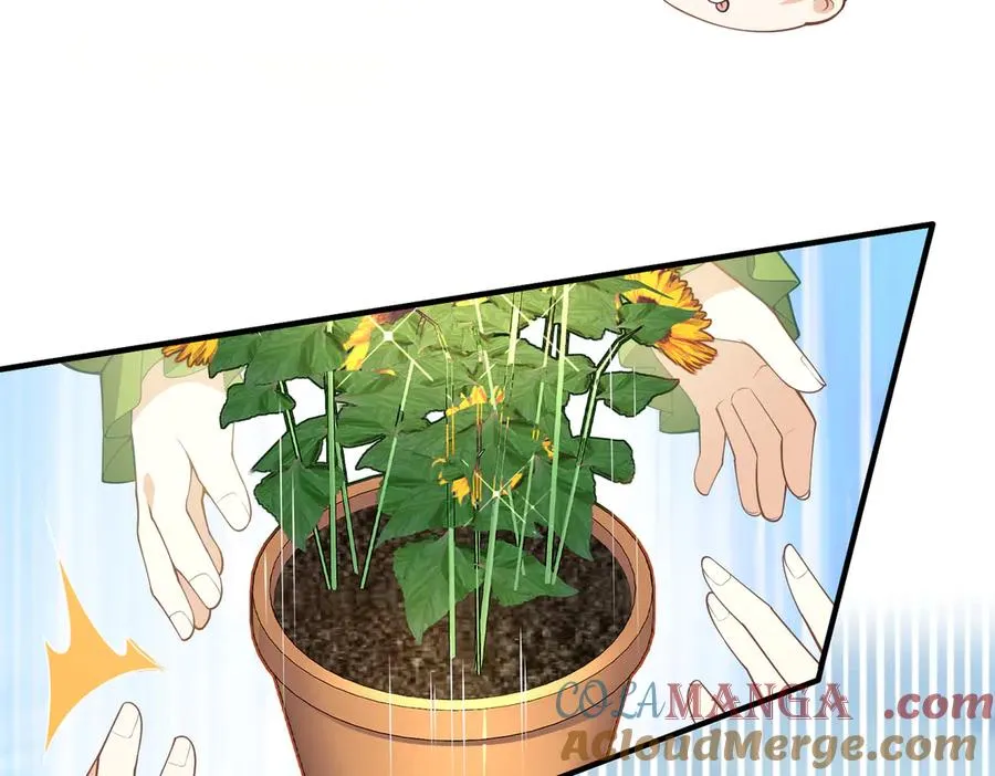 萌宝综艺要来啦！ 第43页