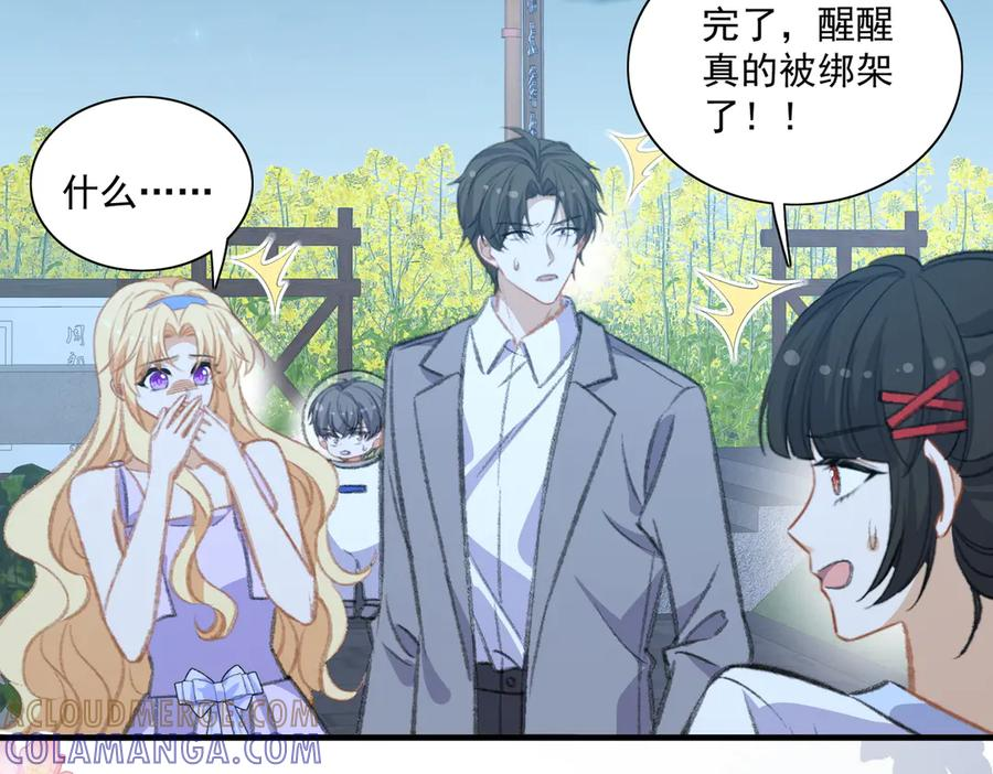 什么，醒醒又被绑架了？！ 第43页