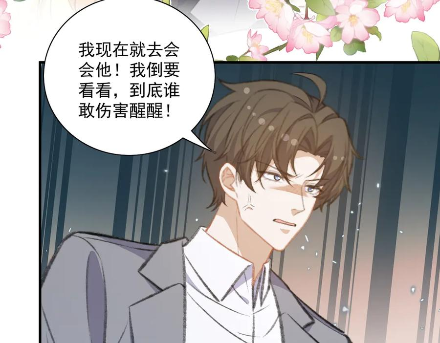 什么，醒醒又被绑架了？！ 第47页