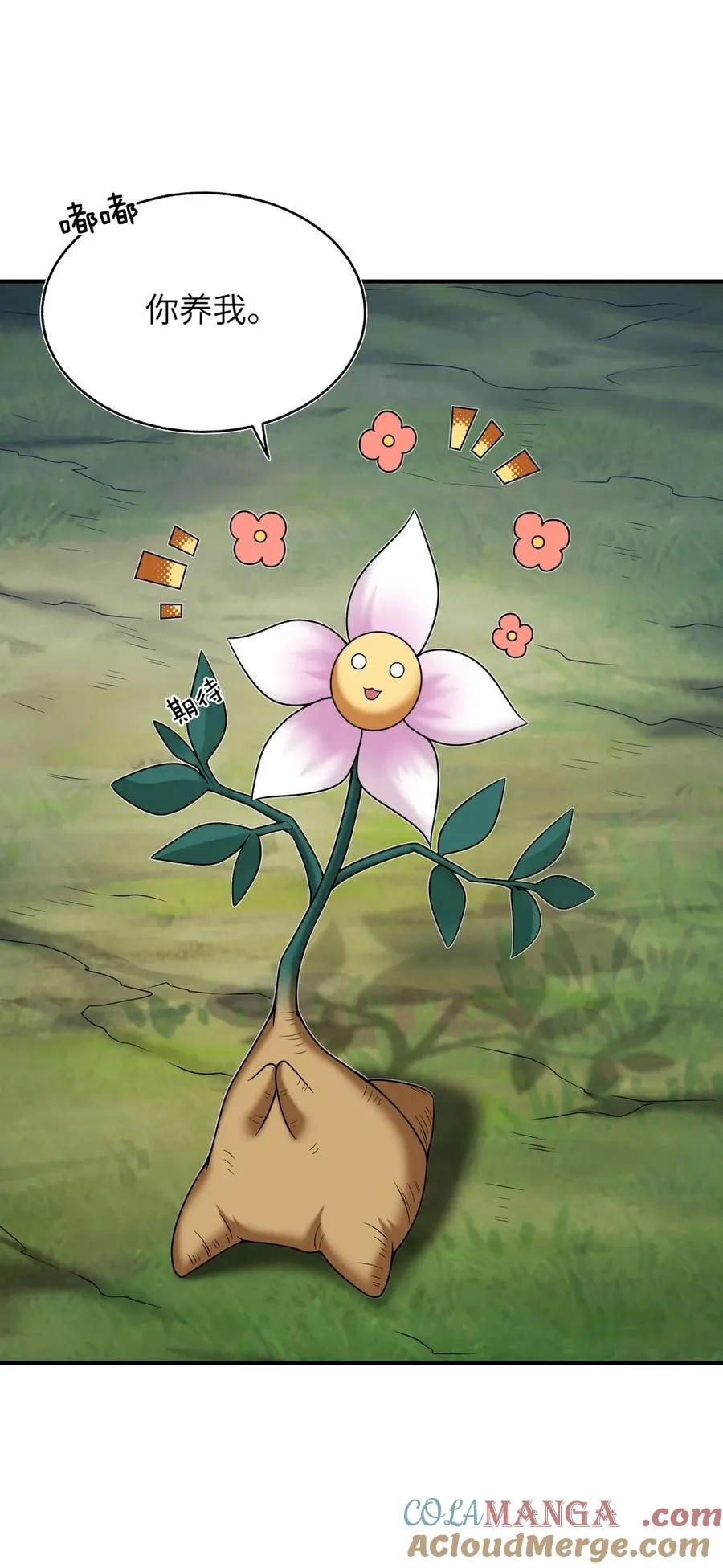 004 是新的同伴吗？ 第37页