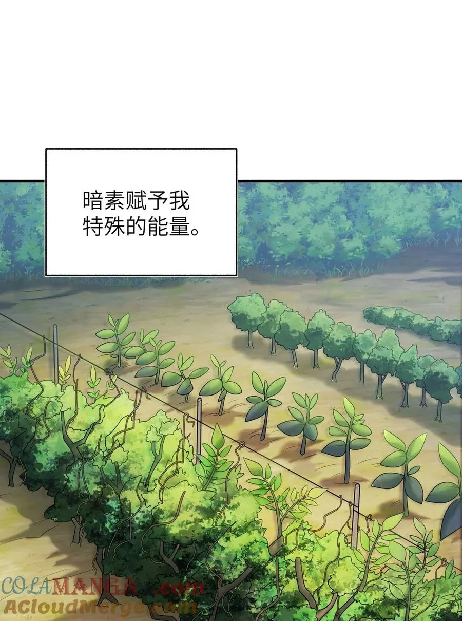 004 是新的同伴吗？ 第43页