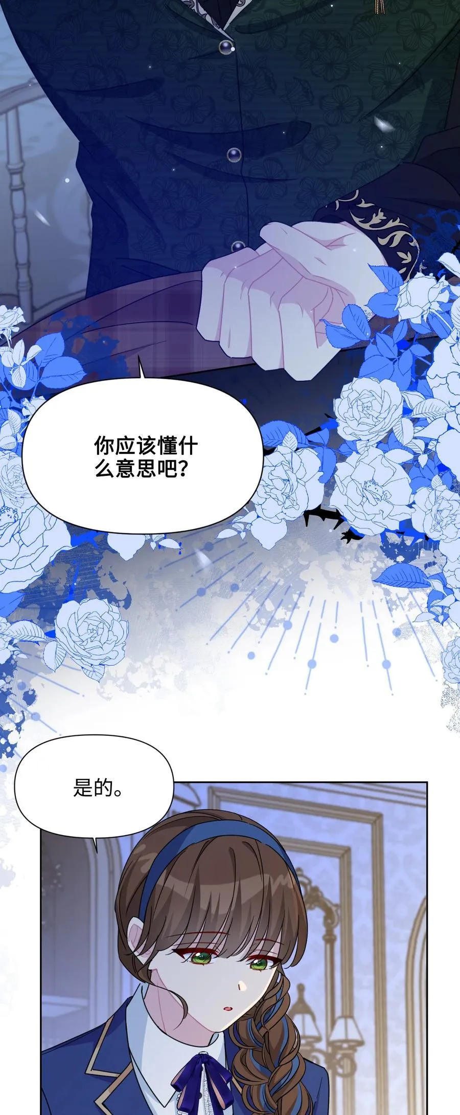 014 洛佩兹伯爵府 第33页