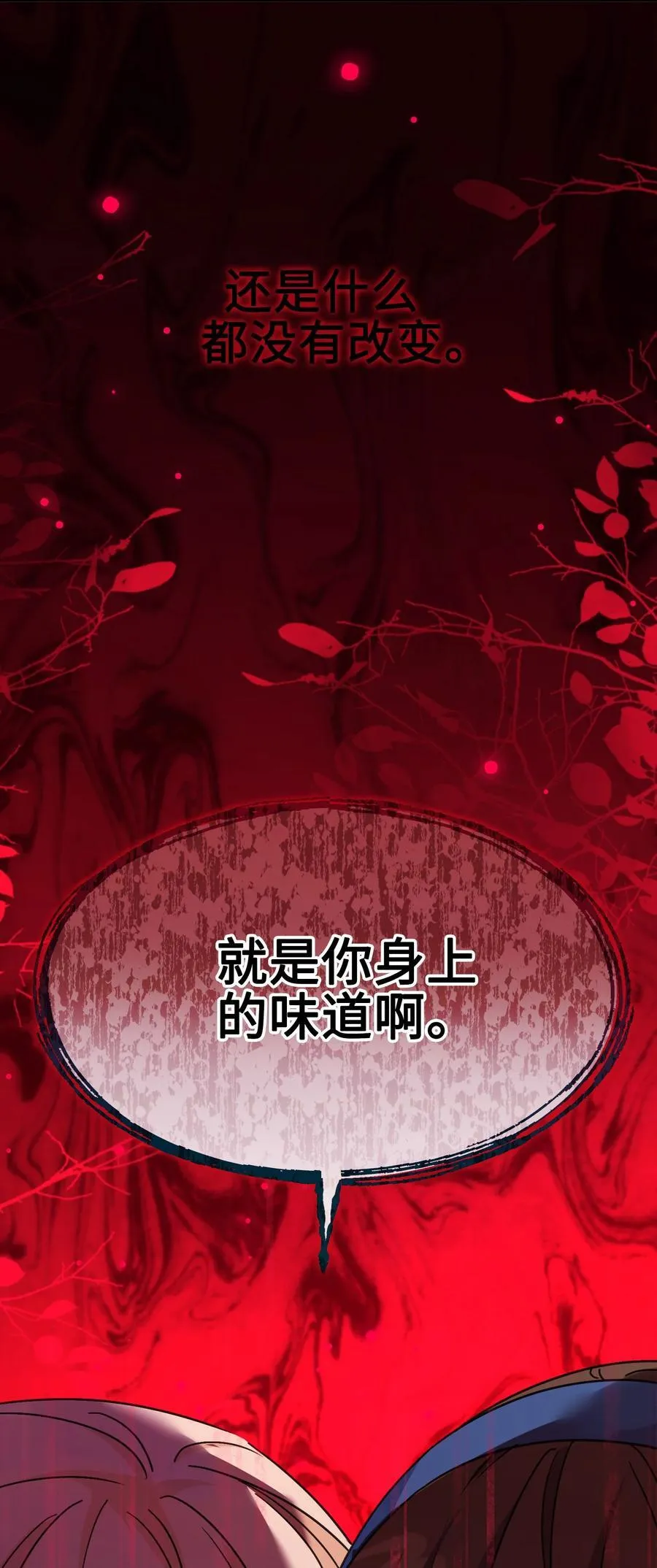 014 洛佩兹伯爵府 第69页