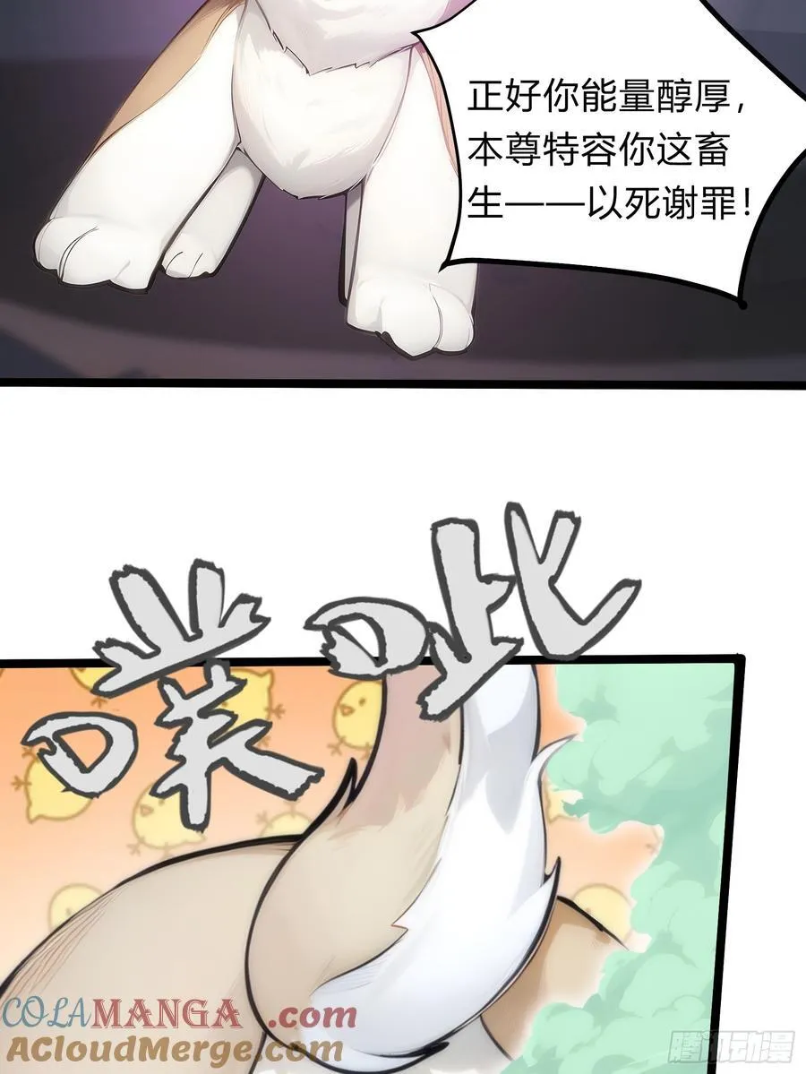 13 狗屁惊雷！ 第55页