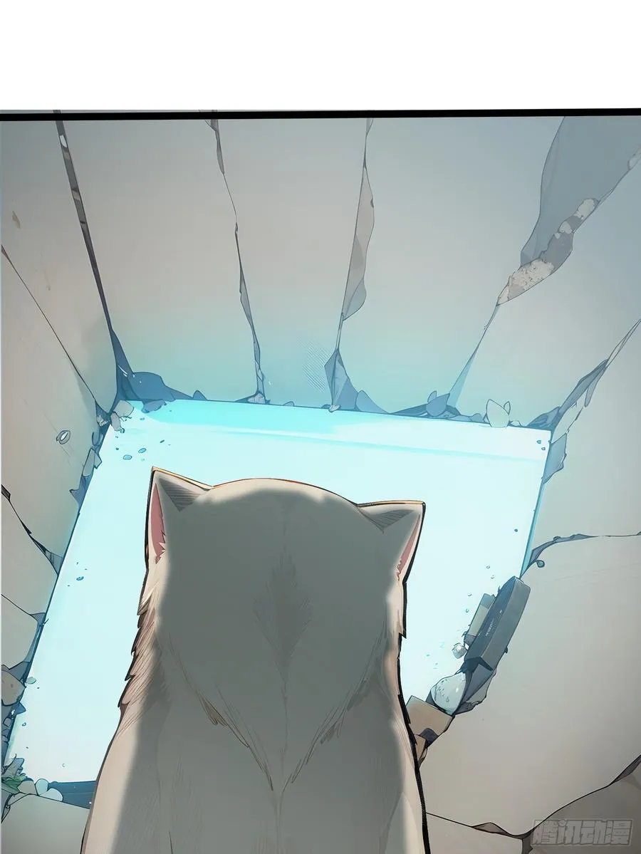 13 狗屁惊雷！ 第62页