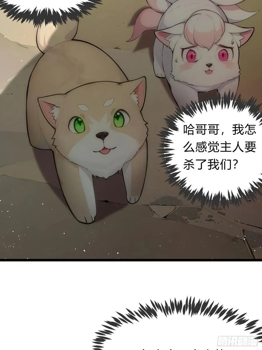 23 神宠进化！ 第5页
