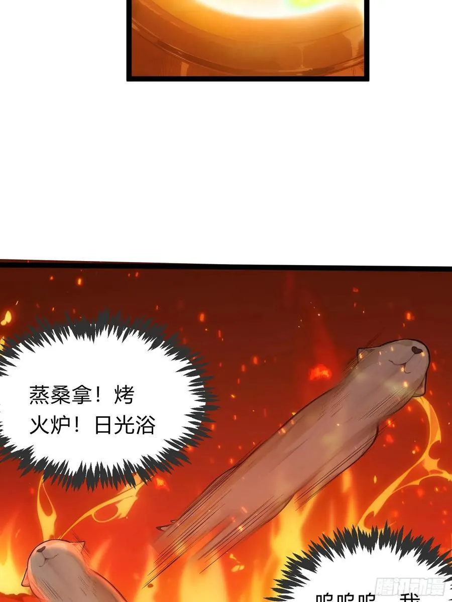 23 神宠进化！ 第26页