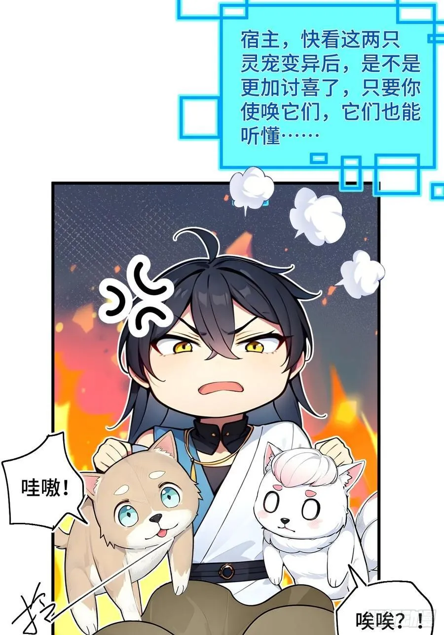 24 S级灵宠，免费送！ 第9页