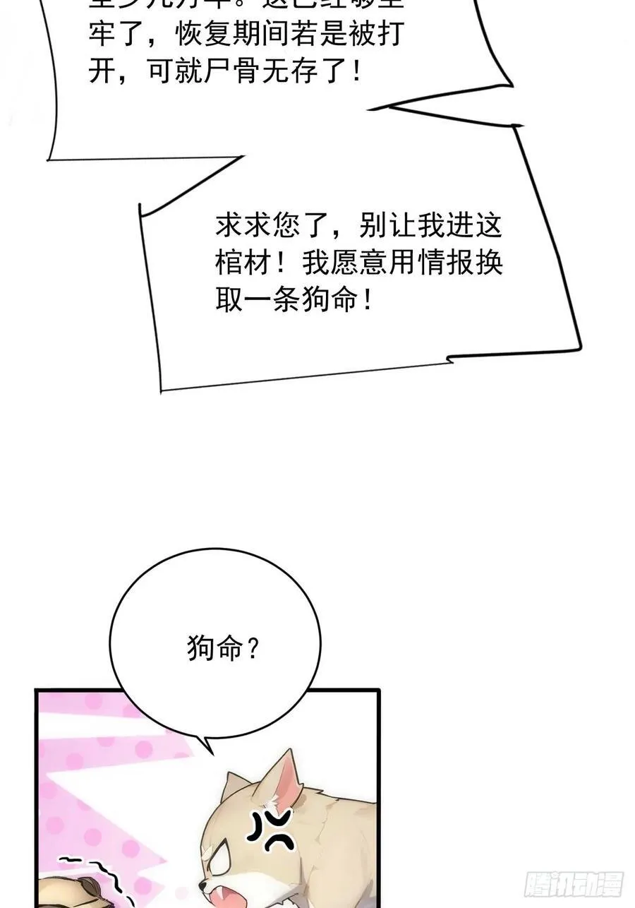 34 打鸡血系统 第41页