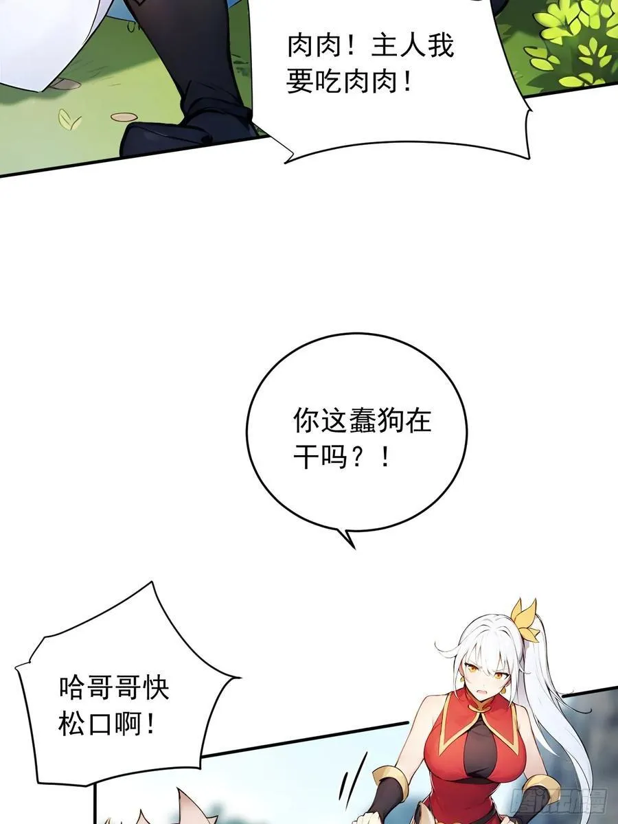 52 拼夕夕叶凡 第11页