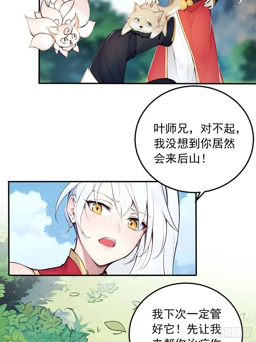 52 拼夕夕叶凡 第12页