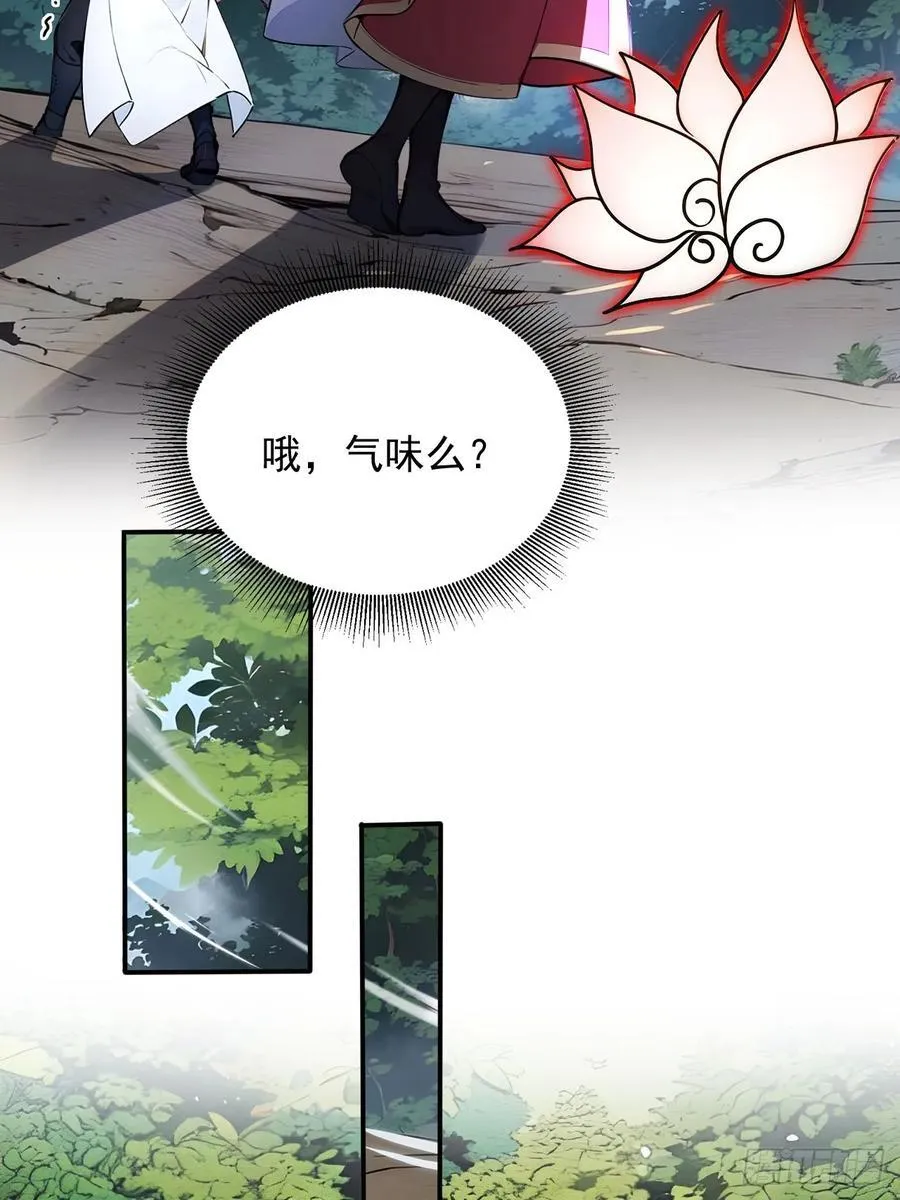 52 拼夕夕叶凡 第15页