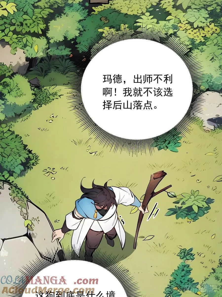 52 拼夕夕叶凡 第16页