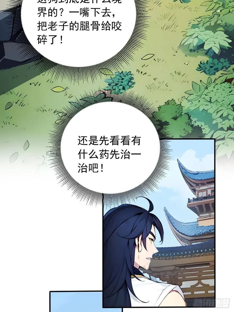 52 拼夕夕叶凡 第17页