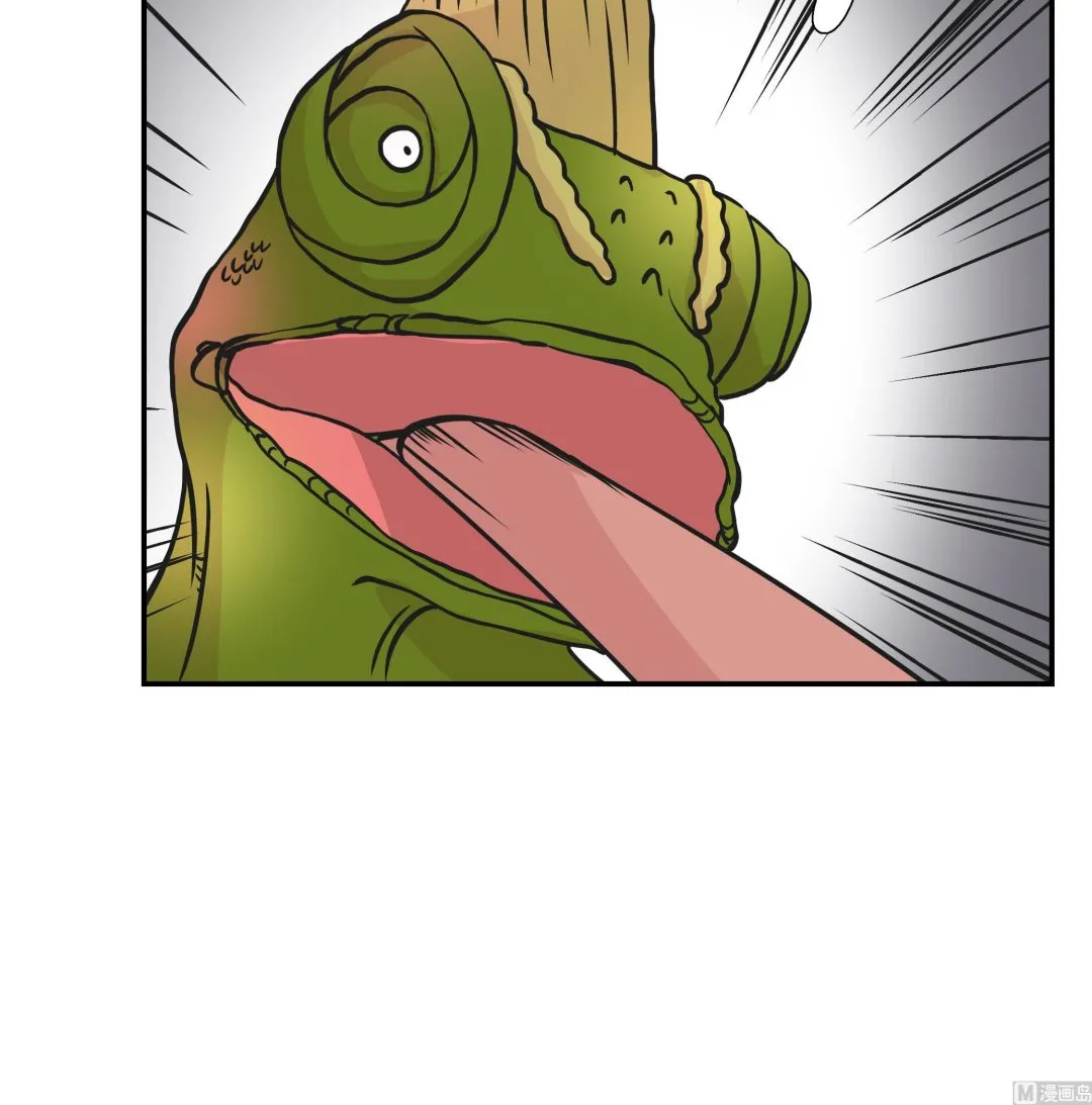 第34话 显露实力 第42页