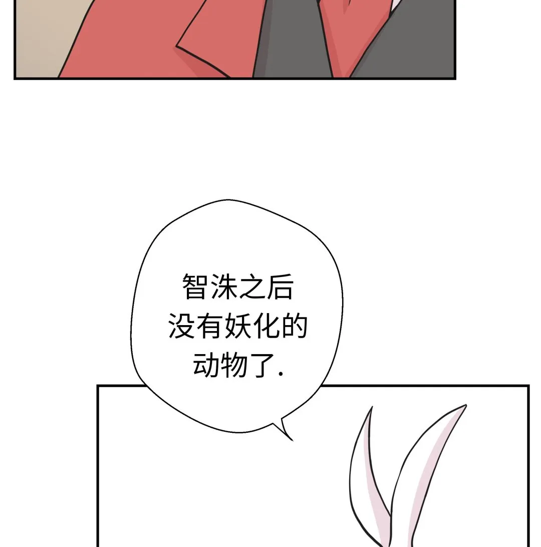 第48话 动物妖化 第13页